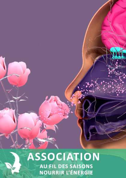 olfaction