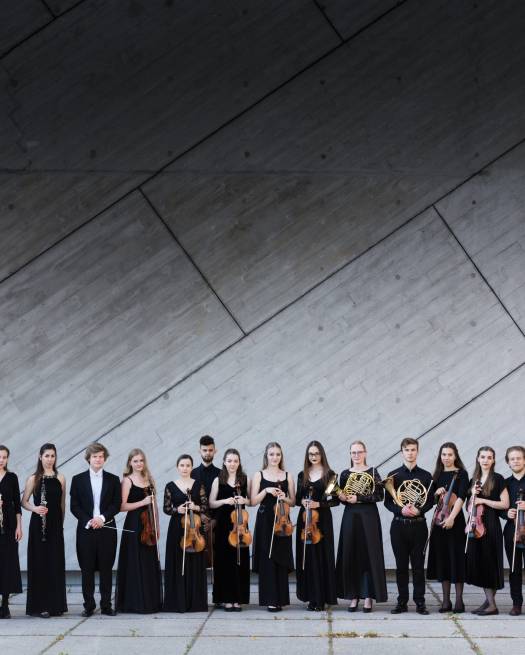 concert de l'Orchestre Chevalier Saint Georges