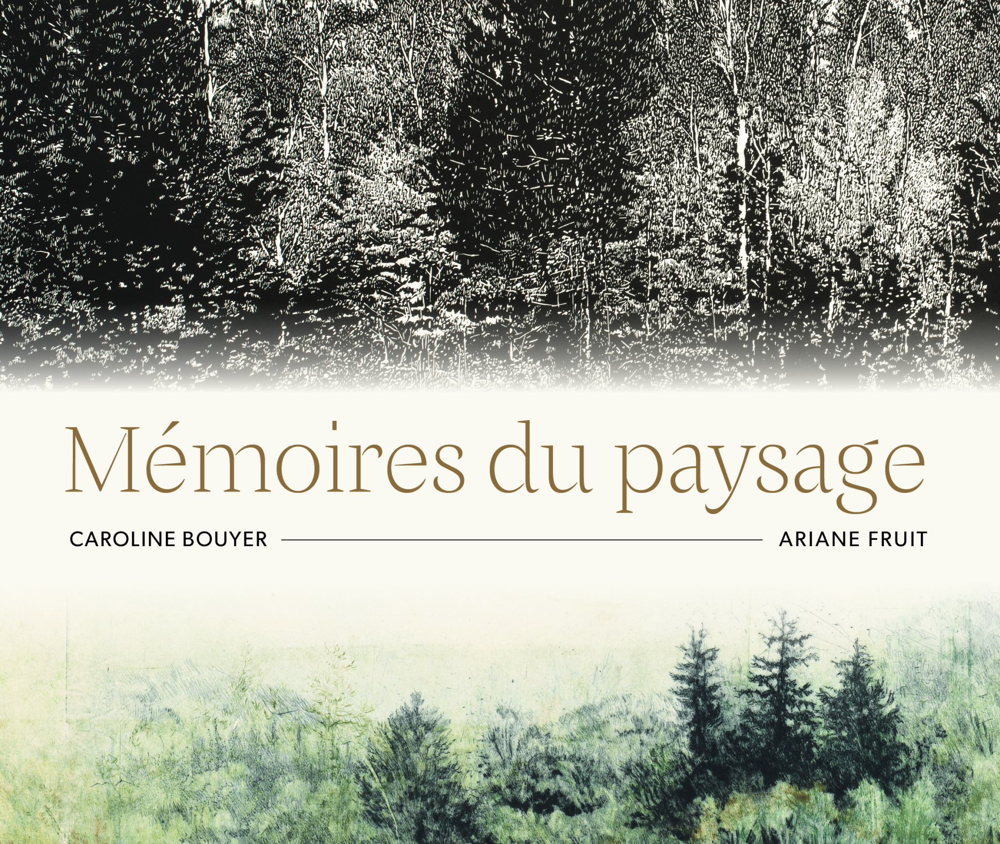 Affiche exposition Mémoires du paysage