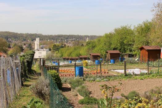 Jardins familiaux