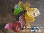 Au fil des saisons, nourrir l'énergie