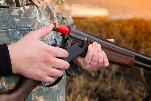 Permis de chasse