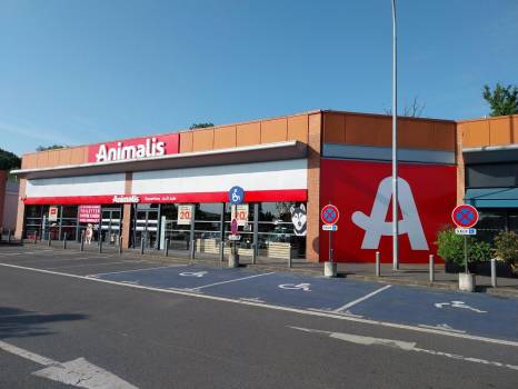 Animalis