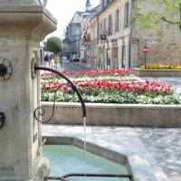 fleurs centre ville
