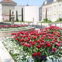 fleurs centre ville