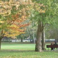 parc manchez