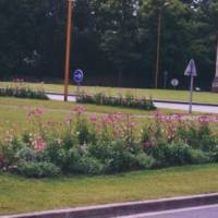 rond-point fleuri