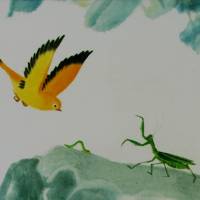 Oiseau en vol