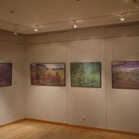 Exposition Yang Ermin. La réapparition de la couleur