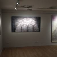 Exposition Yang Ermin. La réapparition de la couleur