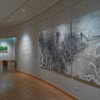 Exposition Claire Illouz. Les abords du paysage