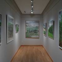 Exposition Claire Illouz. Les abords du paysage