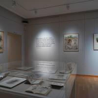 Exposition Claire Illouz. Les abords du paysage