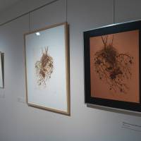 Exposition Claire Illouz. Les abords du paysage
