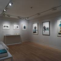 Exposition Claire Illouz. Les abords du paysage