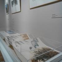 Exposition Claire Illouz. Les abords du paysage