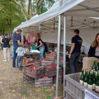 Fête de la campagne