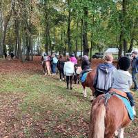 Fête de la campagne
