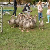 Fête de la campagne