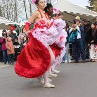 25ème Carnaval de L'Isle-Adam