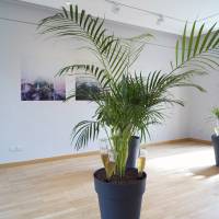 Emprunt lointain salle 2 a