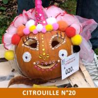 Citrouille n°20