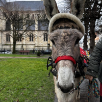 Festivités de Noël