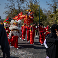 Carnaval 2026