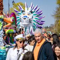 Carnaval 2026