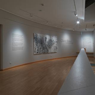 Exposition Claire Illouz. Les abords du paysage