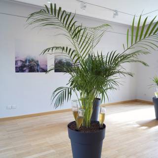 Emprunt lointain salle 2 a