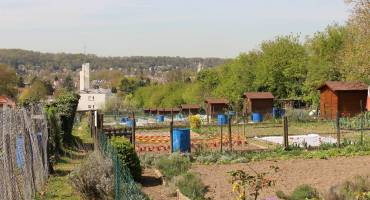 Jardins familiaux