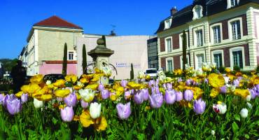 Plantations / serre municipale
