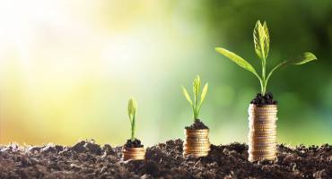 Gestion différenciée des espaces verts