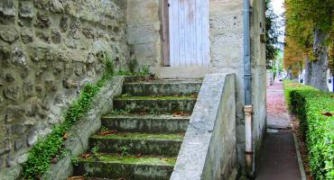 La Maison des Sources