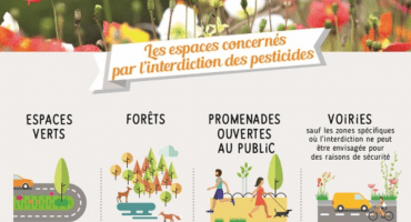 pesticides interdits