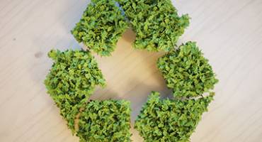 Sigle Développement durable